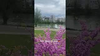 Magnificent view of city wall of #ulm along #danube river🏞️ #shorts #germany #deutschland #nature