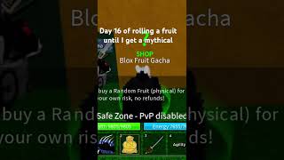 Day 16 of rolling a fruit until I get a mythical  #bloxfruitstock #allfruits #roblox #bloxfruts #fyp