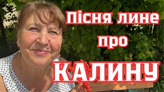 Наталя Фаліон - Лісапетний батальйон - Пісня лине про калину