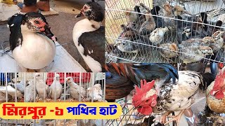 মিরপুর ১ পাখির হাট পার্ট -20 | Mirpur Pakhir Hat | pakhi Pric | Duck, Cockatiel, Khashi Murgi Bachha