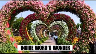 The World’s Largest Flower Garden: Miracle Garden Dubai 2024 Full Tour