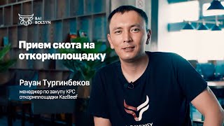 Закуп и прием скота на откормплощадку в Казахстане — Рауан Тургинбеков | EL BAYLYGY