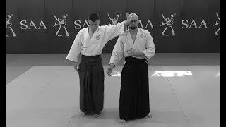 Aikido 💠 Sokumen Irimi Nage