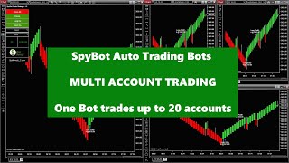 Multi Account Trading using SpyBot Auto Trading Bots on NinjaTrader 8