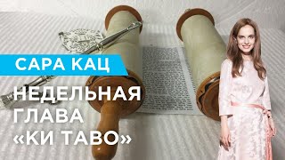 Недельная глава «КИ ТАВО»