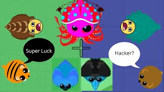 "Mope.io" NOVO RARO + ICE E ORION EM ROAMS.IO #bettermope #mohiomope #mope #troll #io #roams #game