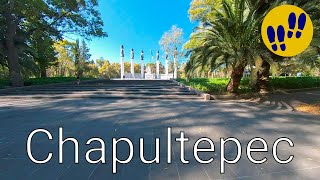 Walking in Chapultepec - Mexico City