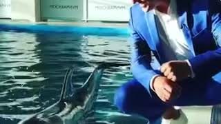 VITAS - High Notes with Dolphin (Without Microphone)