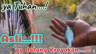 Di bikin panik Seketika‼️ Lagi Seru"nya Spot ikan Wader....⁉️