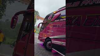 Cinematic Bus Aneka Bintang "JAVA'S QUEEN" & Free Footage #short