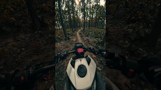 RIDE IN THE FOREST #nature  #motorcycle