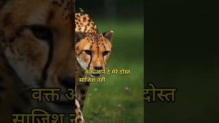 motivation quotes in hindi #motivation #sacchibaateinn #motivationalquotes #motivational #trending