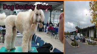 Dog Society Show + Pumunta kame sa pool