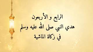 مشكاة المحتار ٤٤- هدي النبي صلى الله عليه وسلم في زكاة الماشية