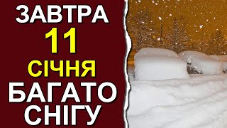 ПОГОДА НА ЗАВТРА: 11 ЯНВАРЯ 2024 | Точная погода на день в Украине