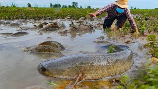 Best hands fisherman, A lot of fish at field A fisherman catch by hand skill on the moss