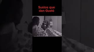 Un Susto muy AGRADABLE #paranormal #funnyvideo #dogs