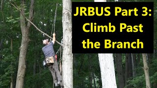 JRBUS Part 3: Climb Past the Branch