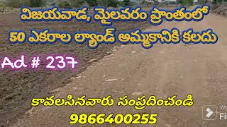 50 Acres Land For Sale in Vijayawada, Mylavaram | మైలవరం | Amaravathi | 9866400255