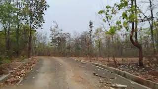 জঙ্গল সাফারী বেলপাহাড়ি jungle safari belpahari(2)