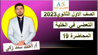 التعضي في الكائنات الحية 2023