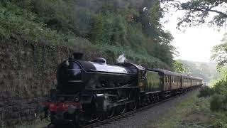 LNER Class B1 No.1264  southbound passing Bridge 30 [NYMR 2018]