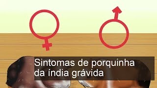 Sintomas de porquinha da índia grávida - Guia completo