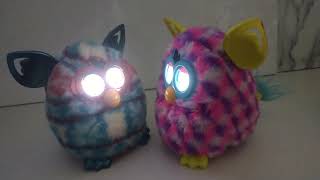 conversa furby inglês e português