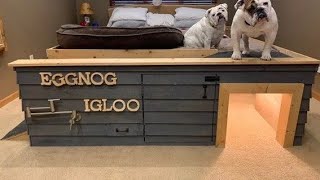 +20 DIY DOG HOUSE ideas 🏠 🐕