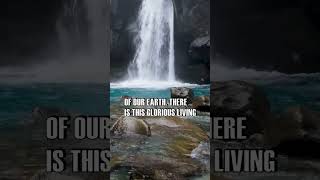 River of God Bubbling In You #spirituality #god #jesus #grace #christinyou