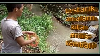 GAK NYANGKA SUNGAI INI MASIH BANYAK IKAN WADER