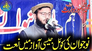 Hafiz Muhammad Taimor Waris | Nojwan Ki Koel Jesi Awaz Mai Naat | Kot Rafiq Kamoke