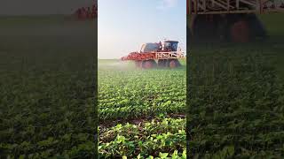 Primeira de fungicida #agro #agriculture #agroetec #agricultura #farming