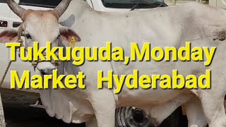 Tukkuguda, every Monday bulls market 😍😍#hyderabad