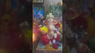 Jai Ganesha Jai Ganesha #ganesha #ganeshchaturthi