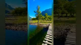 nature, mountains, river camping, bushcraft, forest, Ukraine