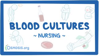 Blood cultures: Clinical Nursing Care