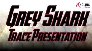 Grey Shark Trace