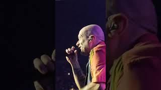 max pezzali - rotta x casa di Dio (San siro 2024)#concert #livemusic #live  #sansiro #maxpezzali