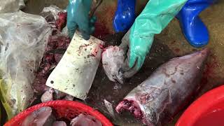 Tuna Fish Cutting Skill | Walking around Fish Market | FLV Official