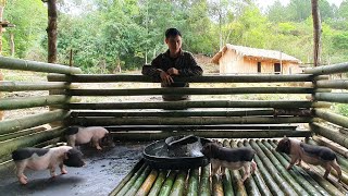 Выпустить свиней в сарай, чтобы вырастить, сделать кухню, чтобы приготовить отруби для свиней