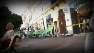 Jelene v meste [Flashmob DEERS]