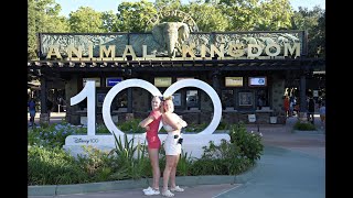 Animal Kingdom, Animal Kingdom Lodge & Sanaa | AUGUST 2023