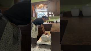 Why Unload Dishwasher or Put Dishes Away Daily | Apartment Living 101