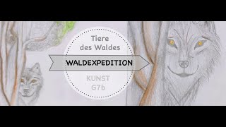 Tiere des Waldes - Projekt des Kunstunterrichts G7b der Weibelfeldschule