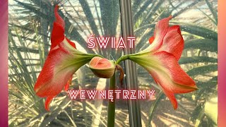 Wewnętrzny Świat 🌍 medytacja