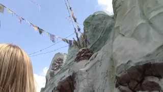 Expedition Everest | Animal Kingdom | Walt Disney World