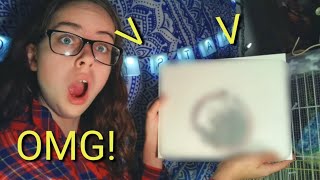 Drawing a Yinyang Rat! ( Speed Drawing)