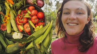 ¿El HUERTO FAMILIAR ideal? - Una mañana en la finca y Receta de sopa de pollo