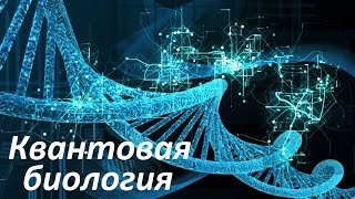 Квантовая биология | Квантовые гены живых организмов